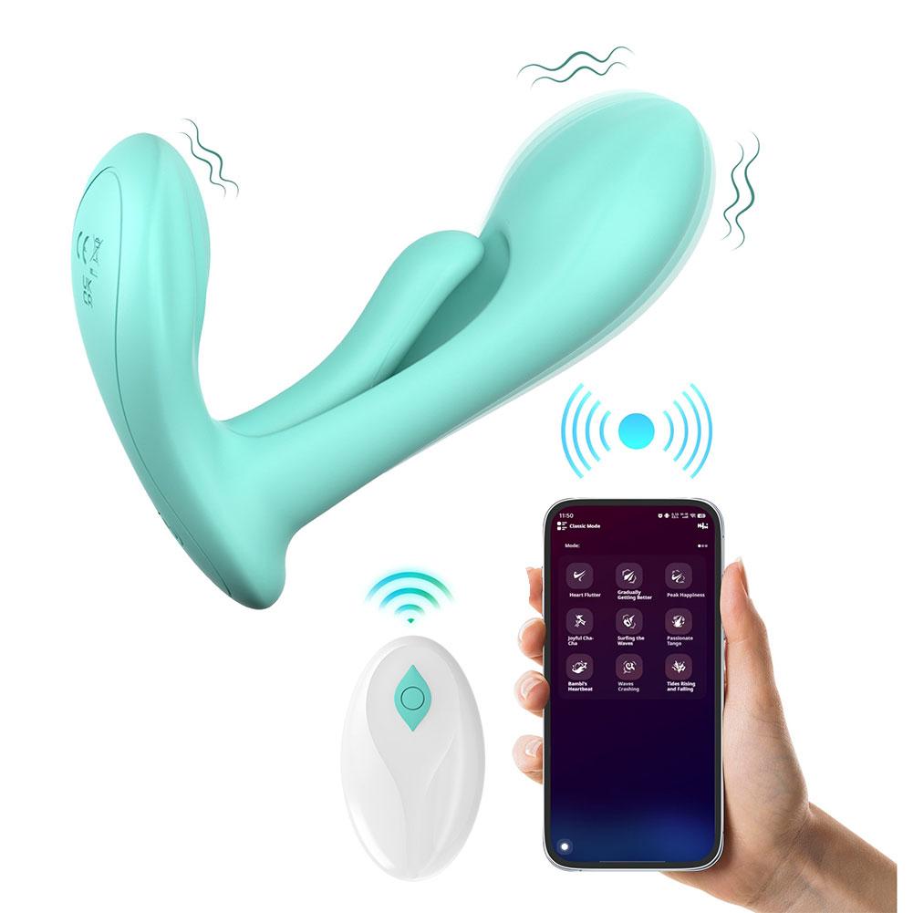 APP & REMOTE CONTROLLED PANTY VIBRATOR'S