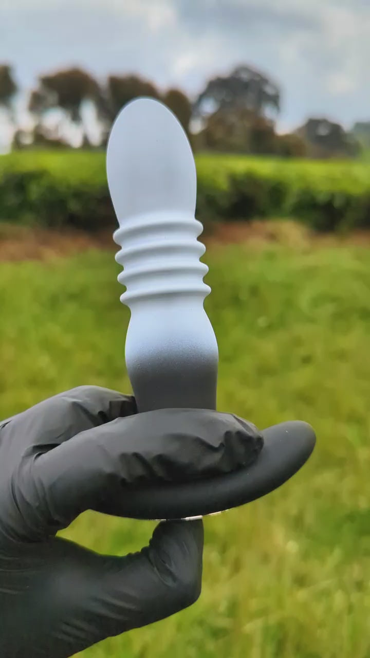 Ribbed Prostate Massager with Remote Control — Anal Plug